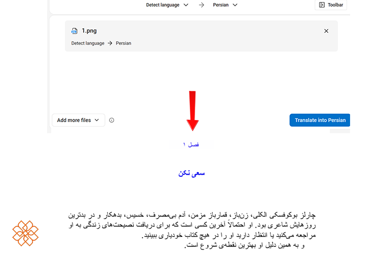 نمونه خروجی از هوش مصنوعی DeepL برای ترجمه عکس