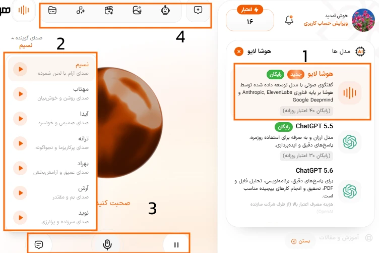 آموزش بخشها و تنظیمات رابط کاربری هوشا لایو برای مکالمه صوتی